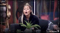 Big Brother (UK) - Episode 22 - Day 25 Highlights