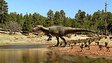 Allosaurus and Salt