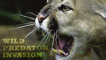 NOVA - Episode 7 - Wild Predator Invasion