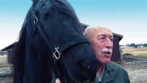The Incredible Dr Pol - Episode 12 - A Plague on Both Your Horses