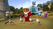 Go Jetters - Episode 43 - Bird Migration: Spain And Africa