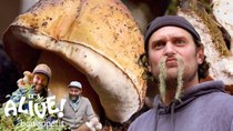 It's Alive! With Brad - Episode 3 - Brad Forages for Porcini Mushrooms