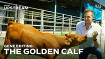 Moving Upstream - Episode 2 - This Gene-Edited Calf Could Transform Brazil's Beef Industry