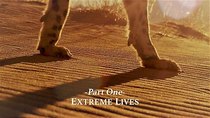 Nature - Episode 1 - Super Cats: Extreme Lives