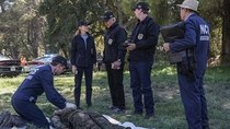 NCIS - Episode 8 - Friendly Fire