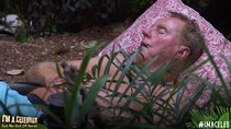 I'm a Celebrity... Get Me Out of Here! - Episode 8 - Catch a Falling Star / The Jungle Factor