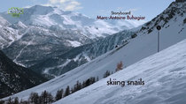 Minuscule - Episode 82 - skiing snails / black slope for gastropod skiers