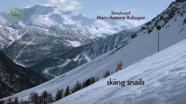 Minuscule - S02E82 - skiing snails / black slope for gastropod skiers