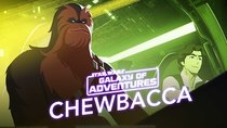 Star Wars Galaxy of Adventures - Episode 5 - Chewbacca: The Trusty Co-Pilot