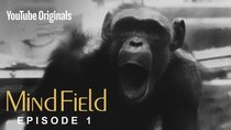 Mind Field - Episode 1 - The Cognitive Tradeoff Hypothesis