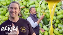 It's Alive! With Brad - Episode 7 - Brad Makes Olive Oil (In Italy!)