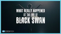 The Take - Episode 4 - What Really Happened at the End of Black Swan?