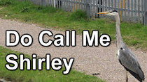 Cruising the Cut - Episode 46 - Do Call Me Shirley