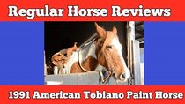 Regular Car Reviews - Episode 9 - 1991 American Paint Horse