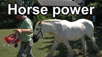 Cruising the Cut - Episode 137 - Horse power