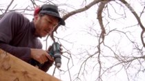 Treehouse Masters - Episode 1 - Twenty Ton Texas Treehouse