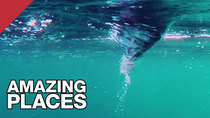 Tom Scott: Amazing Places - Episode 5 - The World's Most Powerful Tidal Current: the Saltstraumen Maelstrom