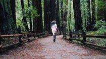 Gabbie Fadel - Episode 7 - Perdidos em Muir Woods