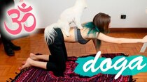 Gabbie Fadel - Episode 60 - MEU CACHORRO FAZ YOGA