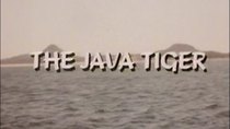 The Master - Episode 10 - The Java Tiger