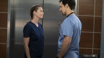 Grey's Anatomy - Episode 9 - Shelter from the Storm