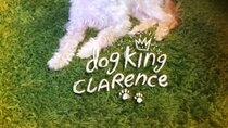 Clarence - Episode 33 - Dog King Clarence