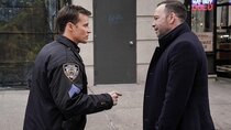 Blue Bloods - Episode 14 - My Brother's Keeper