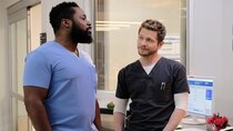 The Resident - Episode 14 - Stupid Things in the Name of Sex