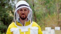 Catalyst - Episode 1 - The Great Australian Bee Challenge - Part 1