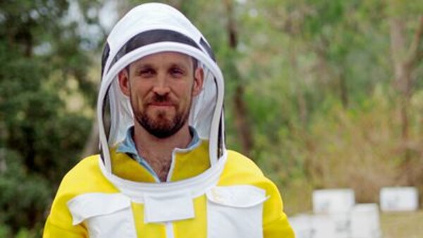 Catalyst - S20E01 - The Great Australian Bee Challenge - Part 1