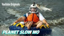 Planet Slow Mo - Episode 5 - Flying Fish to the Face in Slow Motion