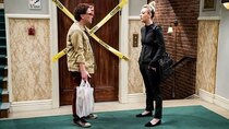 The Big Bang Theory - Episode 9 - The Citation Negation