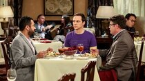 The Big Bang Theory - Episode 13 - The Confirmation Polarization