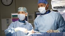 Grey's Anatomy - Episode 14 - I Want a New Drug