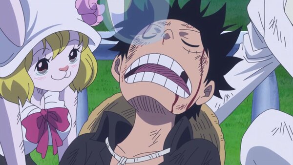 One Piece Episode 874 info and links where to watch