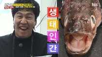 Running Man - Episode 439 - Survive To The End