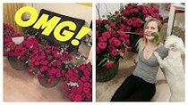 Rose and Rosie Vlogs - Episode 8 - VLOG | 500 ROSES FOR 500,000 SUBSCRIBERS!