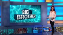Big Brother (US) - Episode 14 - Eviction #4, Head of Household #5