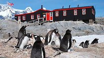 Natural World - Episode 7 - Penguin Post Office