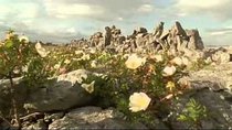 Natural World - Episode 16 - Ireland: Sculpted Isle