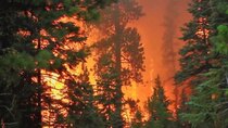 Vetenskapens värld - Episode 10 - The time of the forest fires
