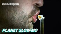 Planet Slow Mo - Episode 18 - Human Speed vs Animal Speed