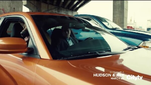 Hudson & Rex - S01E01 - The Hunt
