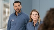 Grey's Anatomy - Episode 20 - The Whole Package