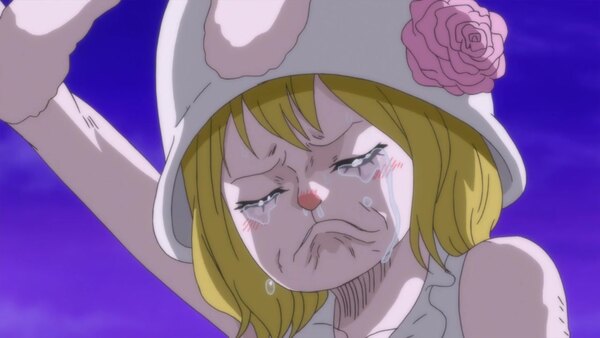 One Piece Episode 877 - Watch One Piece E877 Online