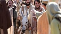 Jesus - Episode 161 - The Triumphal Entry in Jerusalem