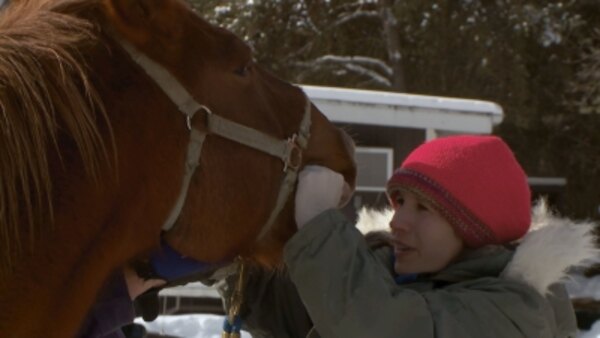 The Incredible Dr Pol - S11E10 - Dairy Poppins