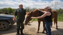 The Incredible Dr Pol - Episode 7 - Storm's A-Mooin'