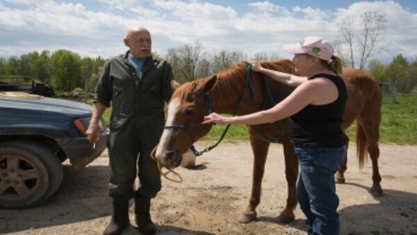 The Incredible Dr Pol - S12E07 - Storm's A-Mooin'