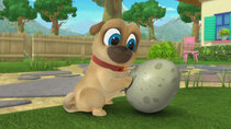 Puppy Dog Pals - Episode 31 - What to Expect When You're Egg-specting